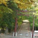계정숲/자인단오제가열리는계정숲