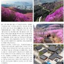토요무박산행 ~ 여수 영취산＜510m＞ 진달래 테마산행 (4/14~15일) ~ (수정본) 이미지