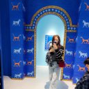 대조-002 이미지