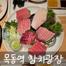 목동역 참치 맛집 참치광장 후기