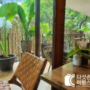 마리카페 이미지