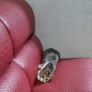 두리노래방 이미지