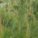 와동농장 이미지