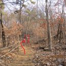 라자로주유소 이미지