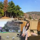 위드펫 빌리지 이미지