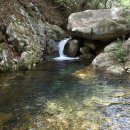 6125 | 새국가유산 - 장흥 장천동과 팔경 암각문, 전라남도 자연유산 지정, 2025.12.04.