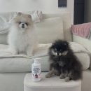 허브디톡스 이미지