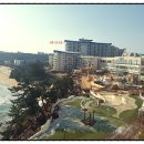 쏠비치 리조트 삼척 이미지