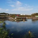 새봉낚시터 이미지