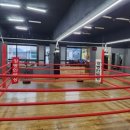 강병인 복싱 이미지