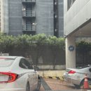 동원산부인과의원 | [난임기록] 광주 프레메디산부인과의원 동결 1차 시작