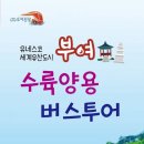 (주)부여관광 이미지
