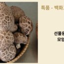 송화상사 이미지