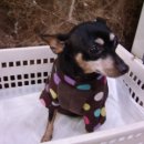 성서초교 이미지