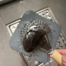 하수오홍삼 | 모루나 스칼프 리커버리 앰플 본품 솔직 후기 | 수챗구멍 막힐 만큼 빠지던 머리, 두피케어 시작했어요