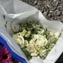 둔덕5길 | [공지] 🕊️ w14. 자근숲과 함께하는 거제도 야외 촬영 🌳 wedding snap with @by.smallforest