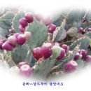 경호농장 이미지