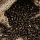 보리주식회사 이미지