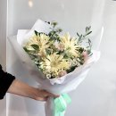 피오니플랜트 이미지