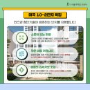 방화대로(서측) 이미지
