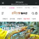 주니유통 이미지