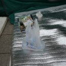 국민은행 앞 이미지