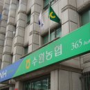 효원 이미지