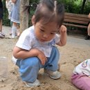 뒷말어린이공원 Daum카페