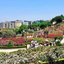 부천로354번길 이미지