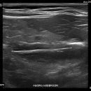 안중동물병원 이미지