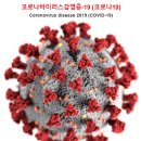 비티엠 이미지