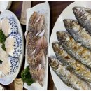 인천의 갯벌 이야기 이미지