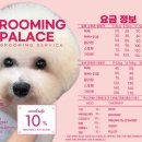 궁전애견 이미지