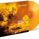 아프리카팩토리 이미지