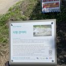 지평보리밥집 이미지
