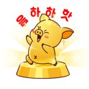 어바웃리페어