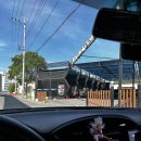 셀세모 대구점 이미지