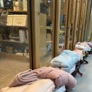 원웨이 영어 태권도 이미지