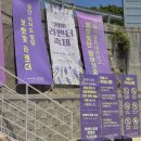 양산 느티나무의사랑 카페 라벤더축제 개화상황 예약 주차 꿀팁
