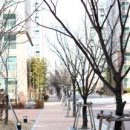 종로학원 앞 이미지