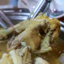 황칠오리 이미지