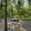 신정로(계남근린공원) 이미지