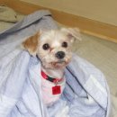 (주)말티 이미지