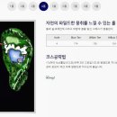 알프스대영 골프장 이미지