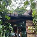 (주)쓰리아이 | 푸켓 여행 쓰리몽키즈 망고주스와 수박주스 후기