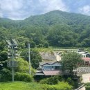 금낭화타운 | 김천 금낭화타운 올 여름 오픈!! 독채200평 펜션 추천!!(+미세방충망, 내돈내산, 김천계곡펜션, 계곡추천)