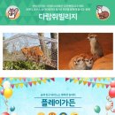 (주) 플레이가든 이미지