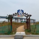 천지 애견 이미지
