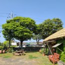 푸른마을 백호 태권도장 | 제주도휀스 선재다원 애견휀스 별하공방 시공 후기