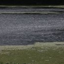 김종찬농장 이미지